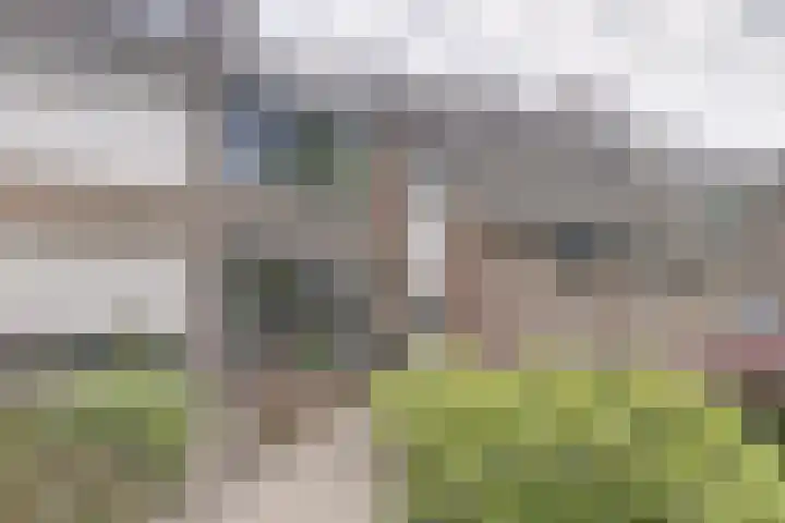 Koudenberg 33 Steenbergen thumbnail 6