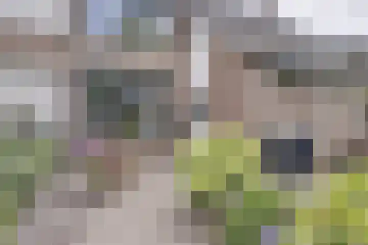 Koudenberg 33 Steenbergen thumbnail 7