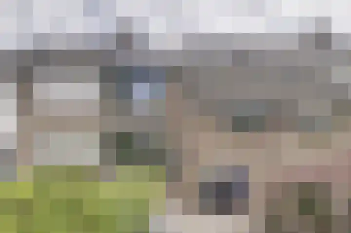 Koudenberg 33 Steenbergen thumbnail 8