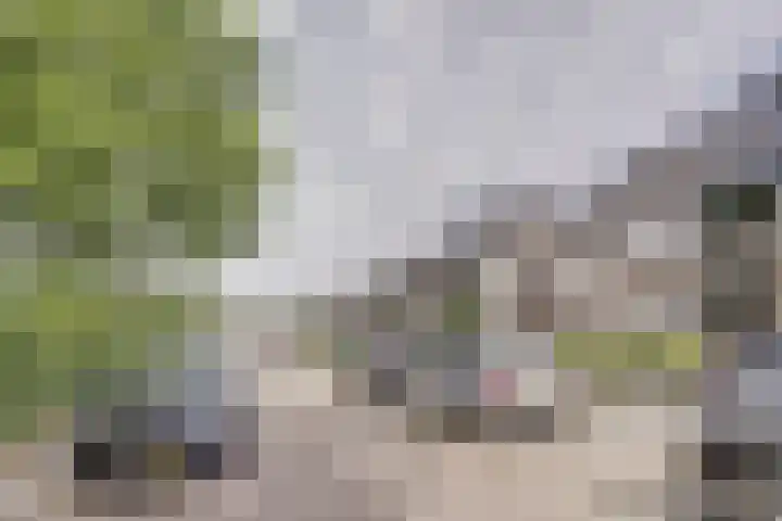 Koudenberg 33 Steenbergen thumbnail 9