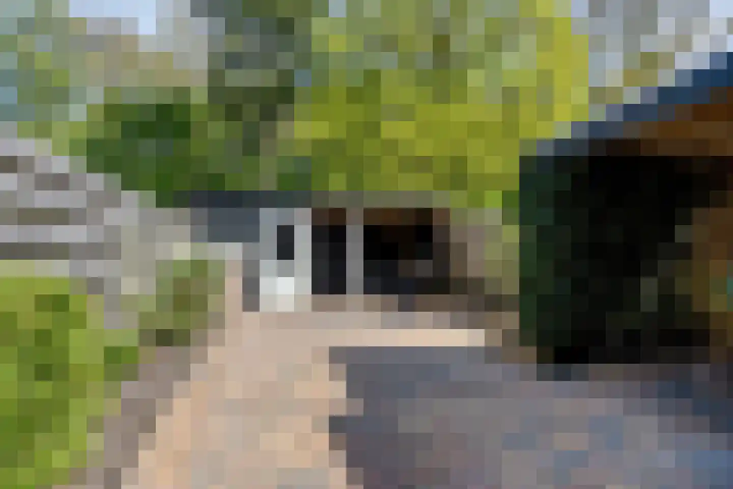 Koudenburgerweg 7 Haulerwijk thumbnail 38