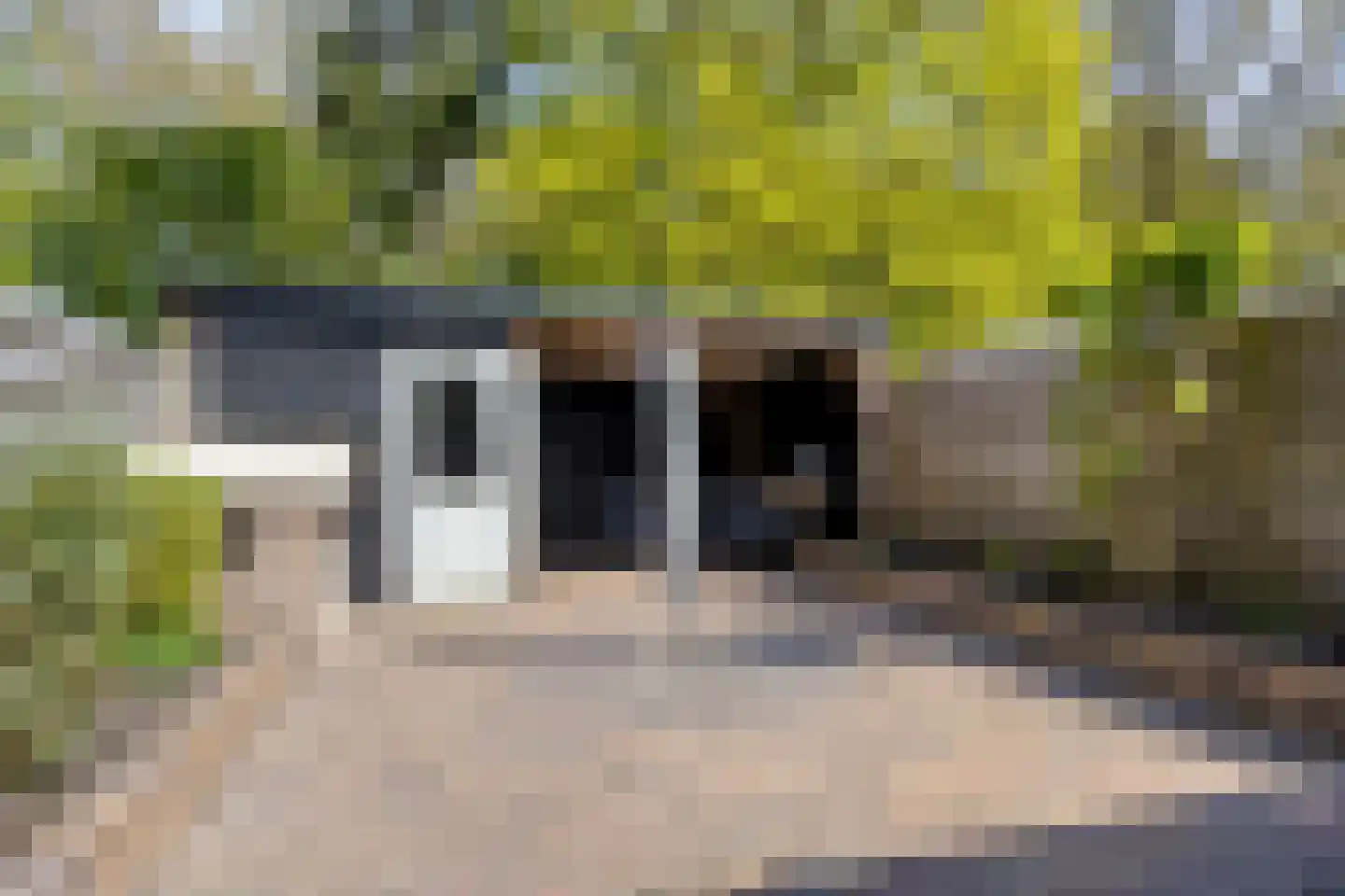 Koudenburgerweg 7 Haulerwijk thumbnail 39