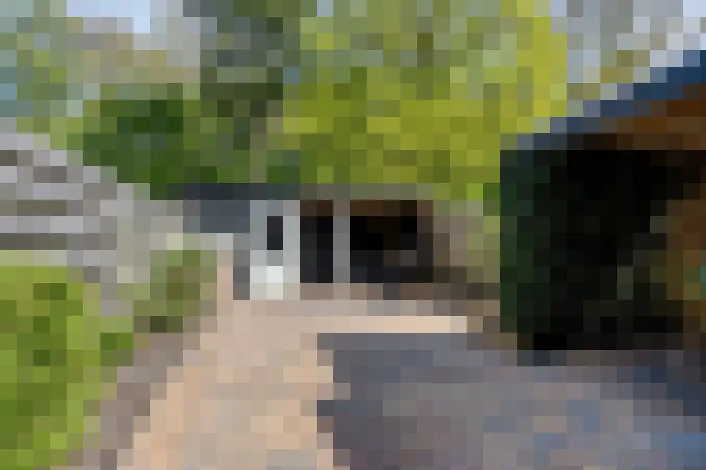 Koudenburgerweg 7 Haulerwijk thumbnail 4