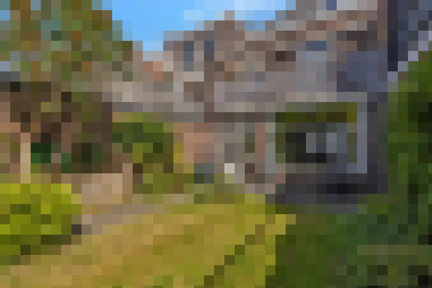 Koudenhorn 78 Haarlem thumbnail 15