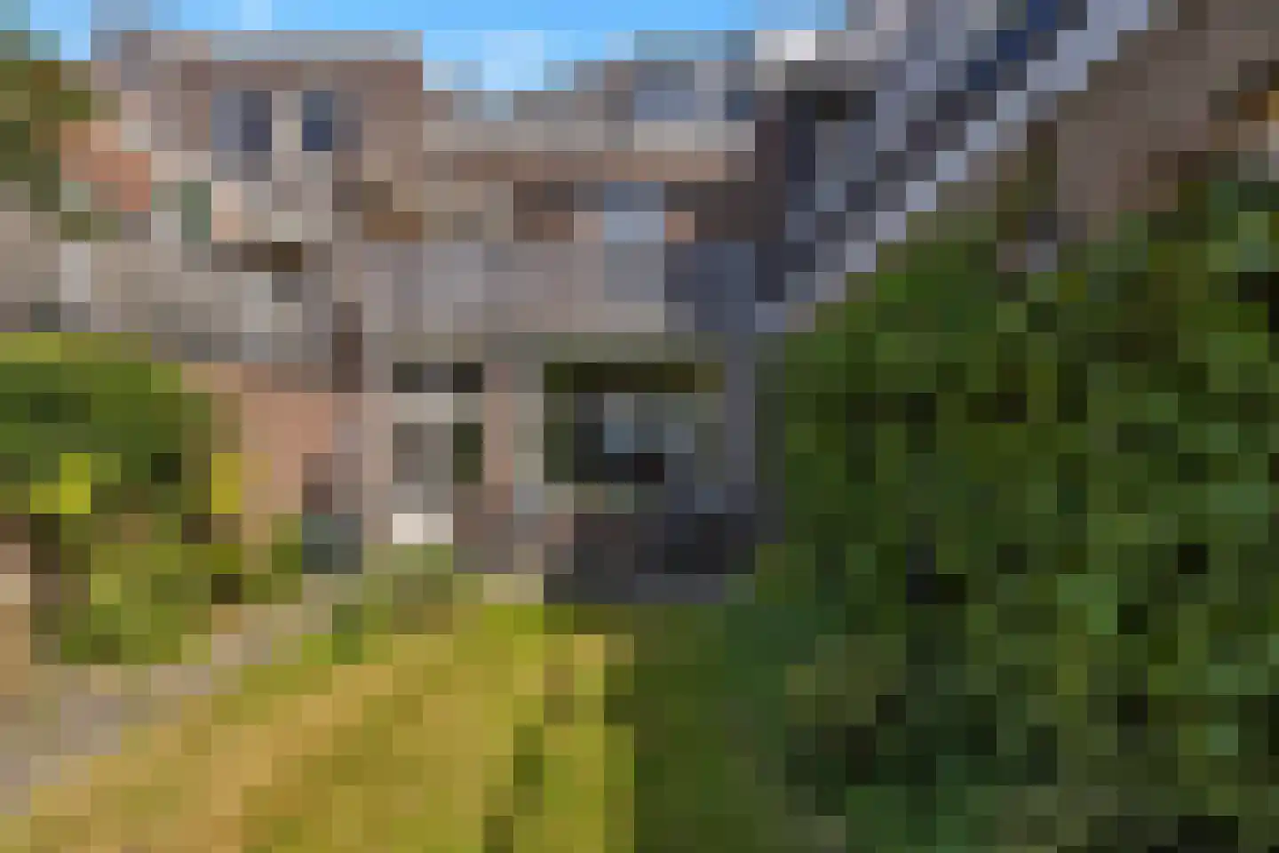 Koudenhorn 78 Haarlem thumbnail 42