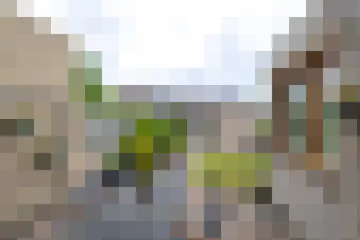 Koudenhovenseweg Zuid 161 Eindhoven thumbnail 33