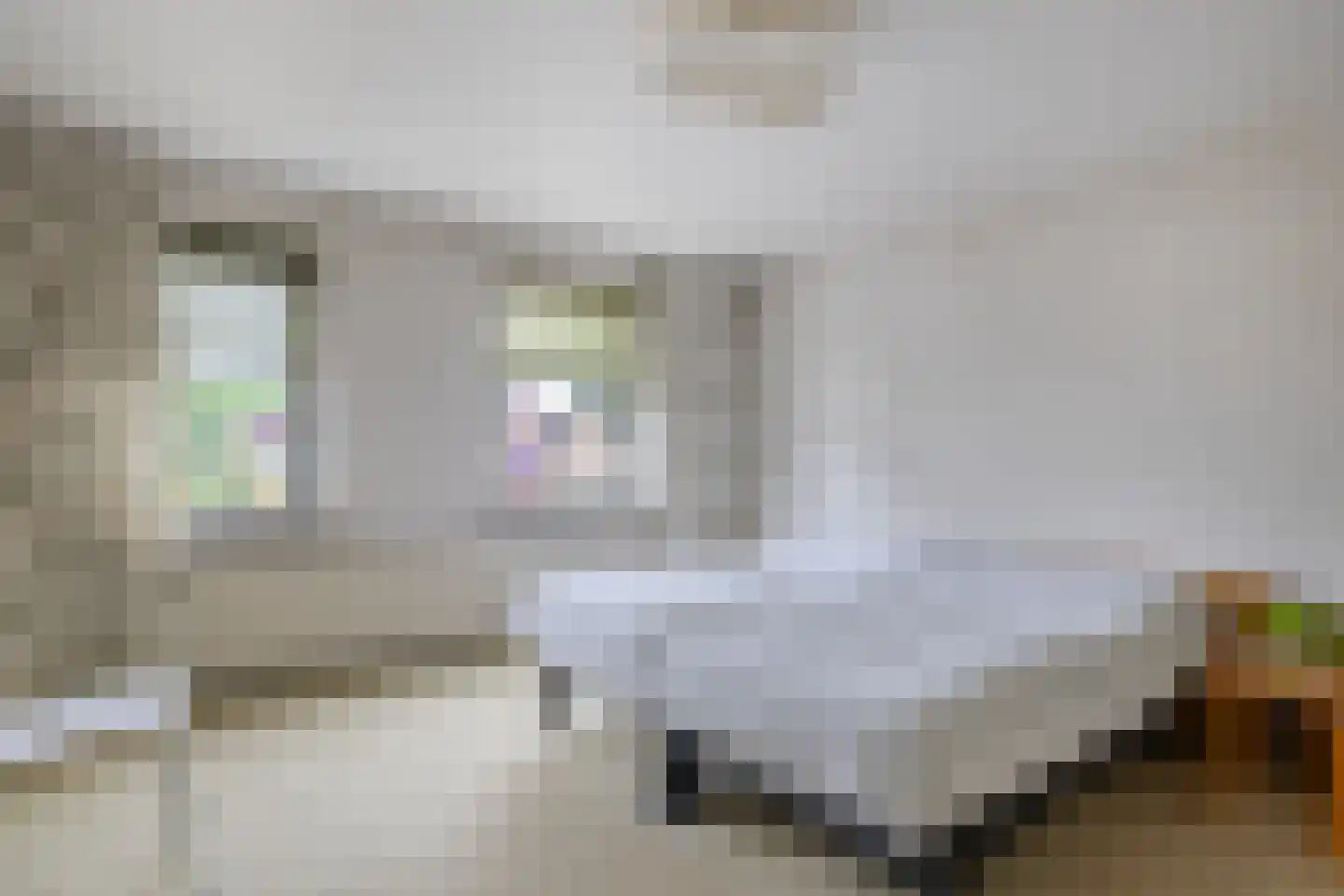 Koudhoornlaan 10 Ugchelen thumbnail 21
