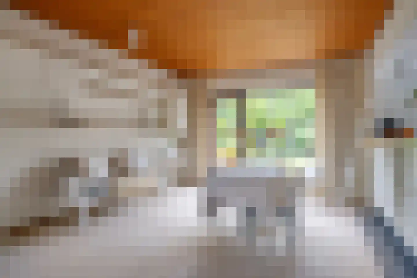 Koudhoornlaan 10 Ugchelen foto 3