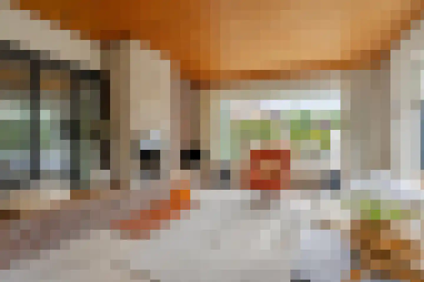 Koudhoornlaan 10 Ugchelen thumbnail 6