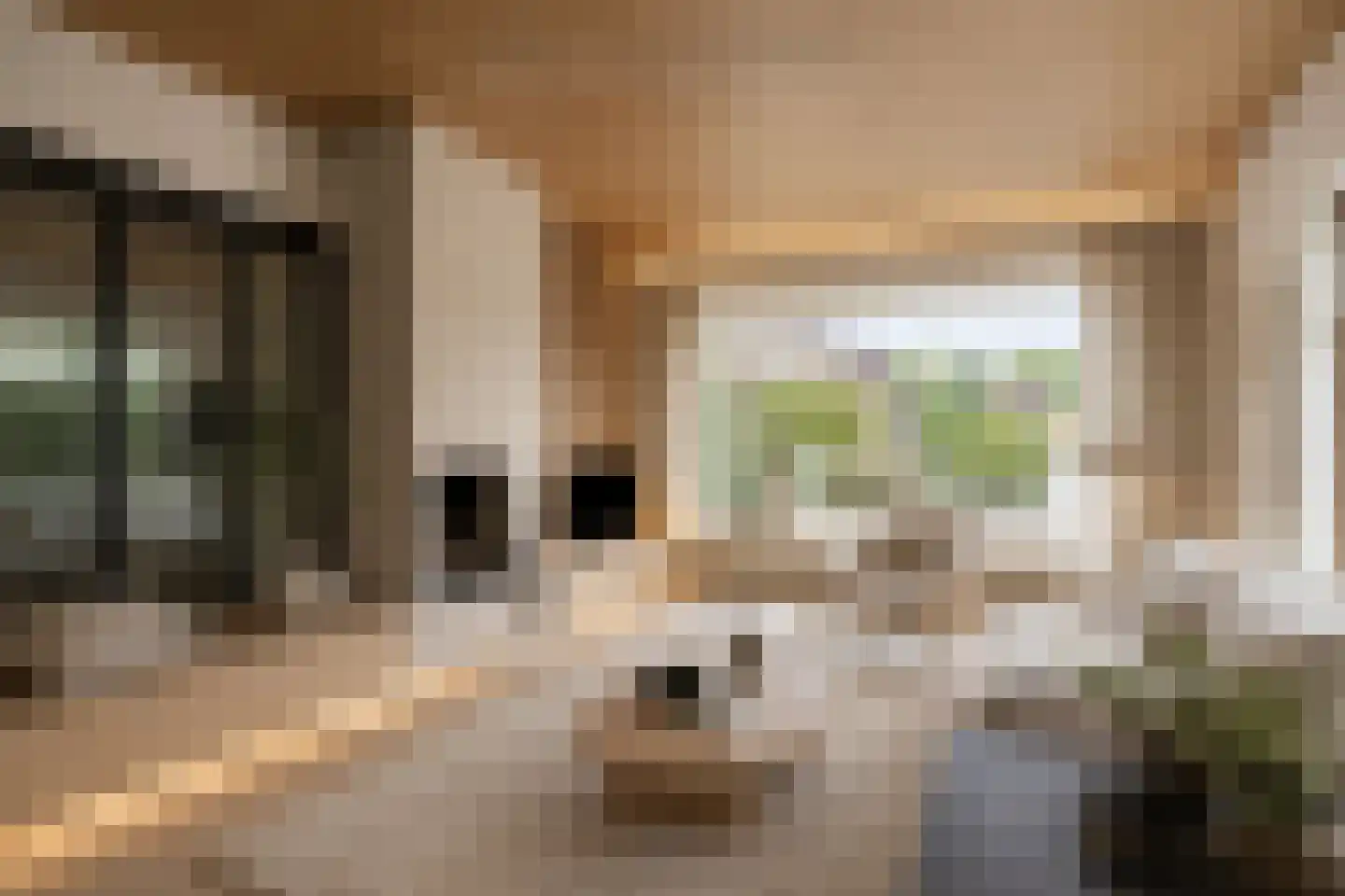 Koudhoornlaan 10 Ugchelen thumbnail 7