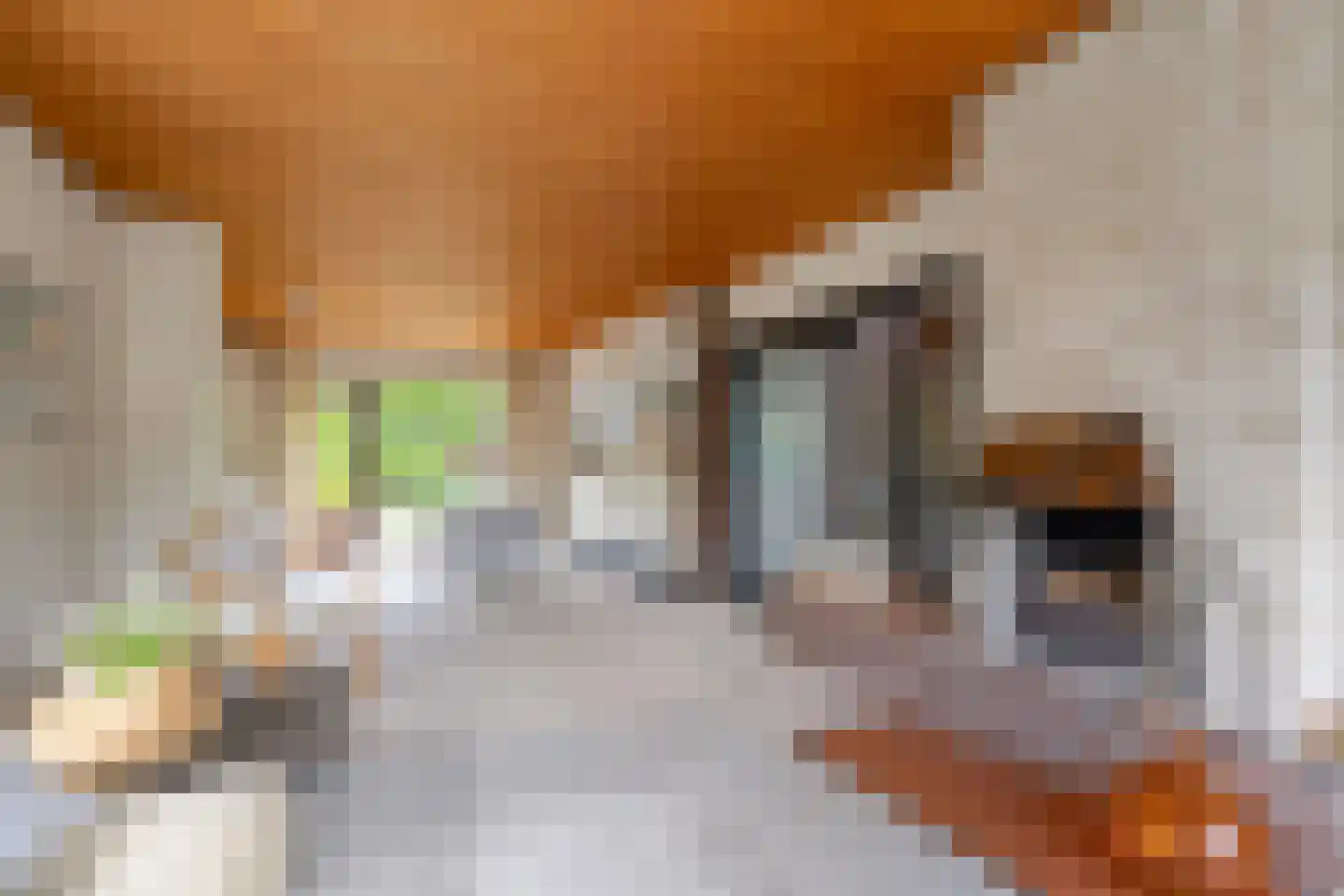 Koudhoornlaan 10 Ugchelen thumbnail 8