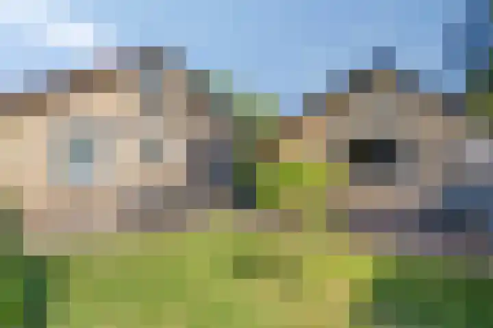 Koudhoornlaan 3 Ugchelen thumbnail 18