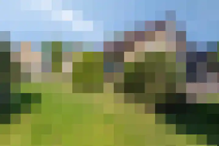 Koudhoornlaan 3 Ugchelen thumbnail 20