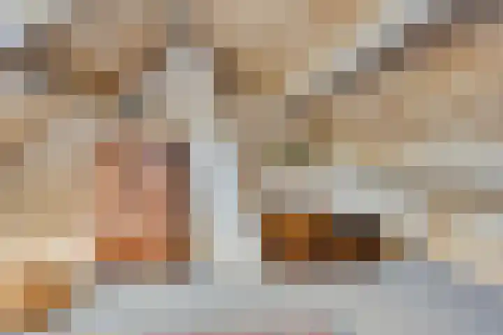 Koudhoornlaan 3 Ugchelen thumbnail 22