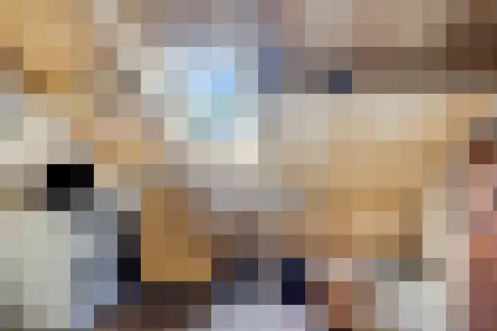 Koudhoornlaan 3 Ugchelen thumbnail 23