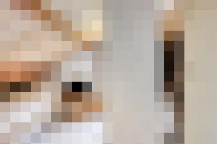 Koudhoornlaan 3 Ugchelen thumbnail 24