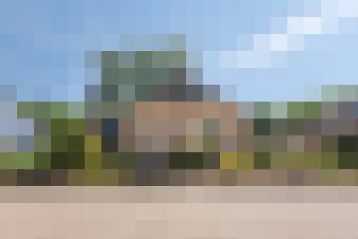 Koudhoornlaan 3 Ugchelen thumbnail 4