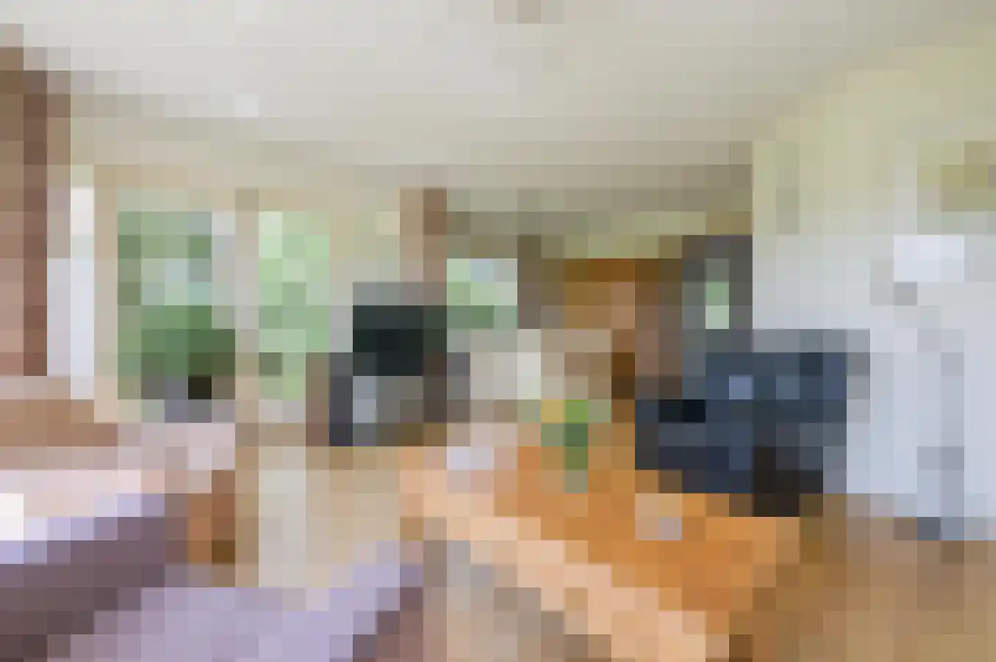 Koudhoornseweg 22 Garderen thumbnail 16
