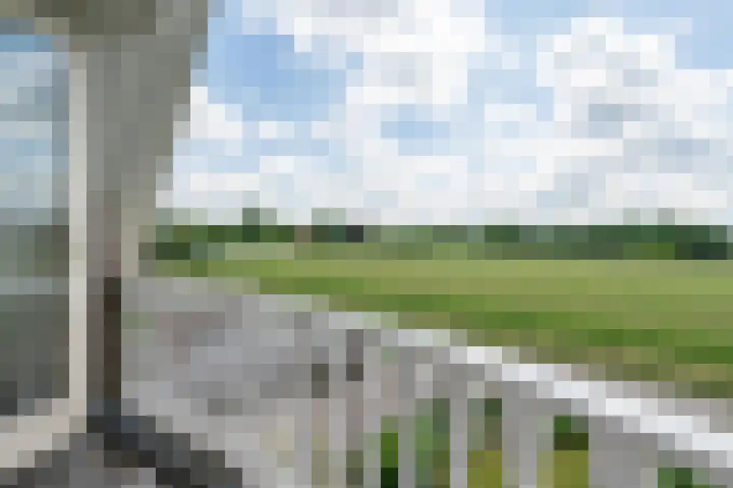 Koudhoornseweg 22 Garderen thumbnail 30