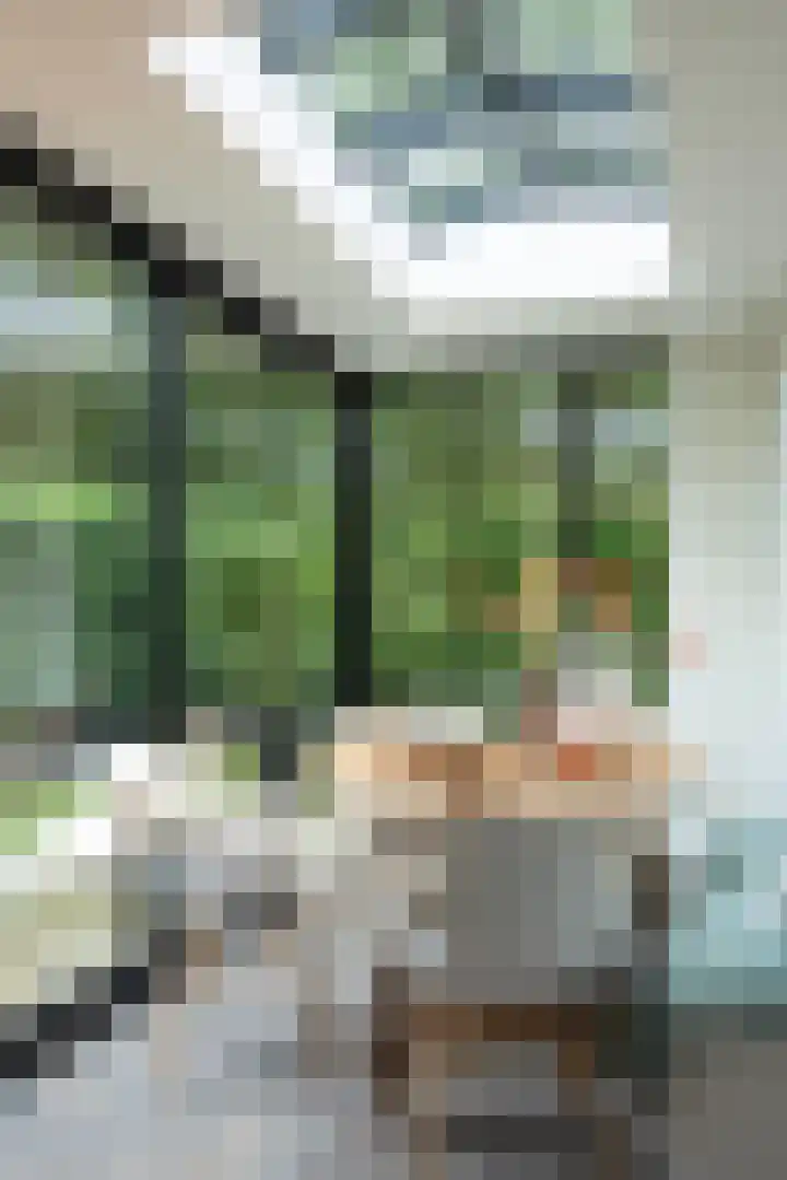 Koudhoornseweg 29 Garderen thumbnail 10