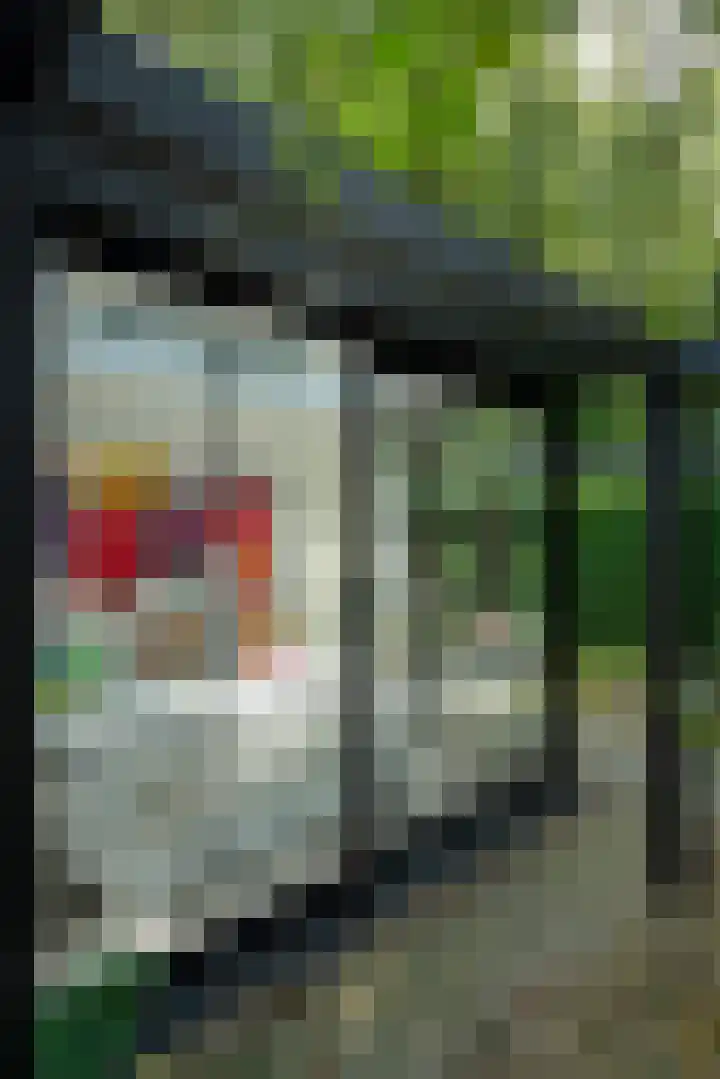 Koudhoornseweg 29 Garderen thumbnail 22