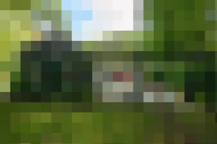 Koudhoornseweg 29 Garderen thumbnail 23
