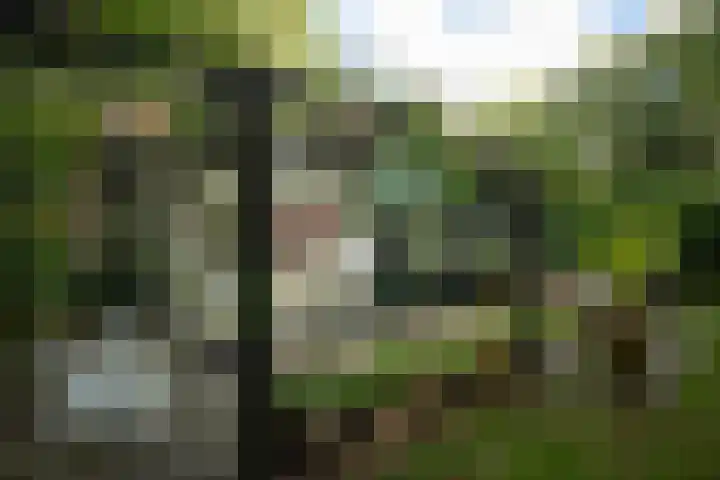 Koudhoornseweg 29 Garderen thumbnail 24