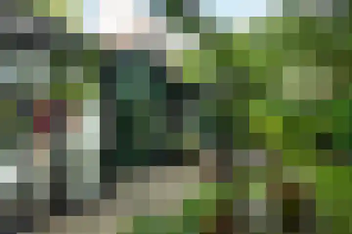 Koudhoornseweg 29 Garderen thumbnail 25