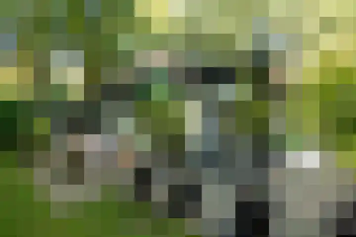 Koudhoornseweg 29 Garderen thumbnail 27