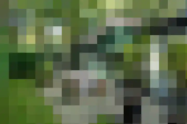 Koudhoornseweg 29 Garderen thumbnail 28