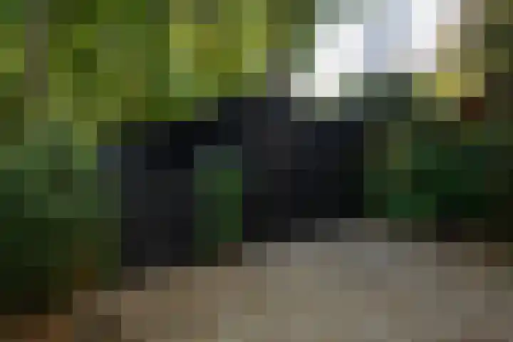 Koudhoornseweg 29 Garderen thumbnail 31