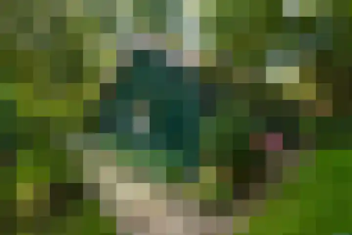 Koudhoornseweg 29 Garderen thumbnail 32