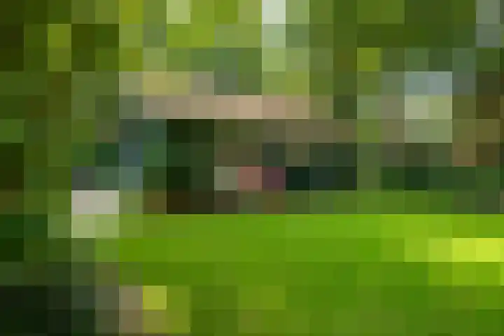 Koudhoornseweg 29 Garderen thumbnail 33