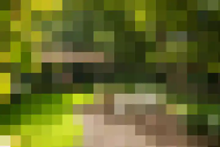 Koudhoornseweg 29 Garderen thumbnail 35