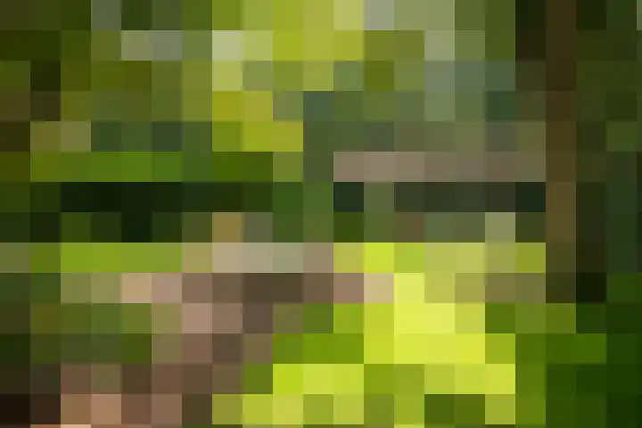 Koudhoornseweg 29 Garderen thumbnail 36