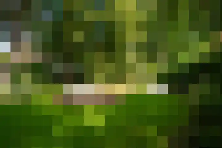 Koudhoornseweg 29 Garderen thumbnail 39