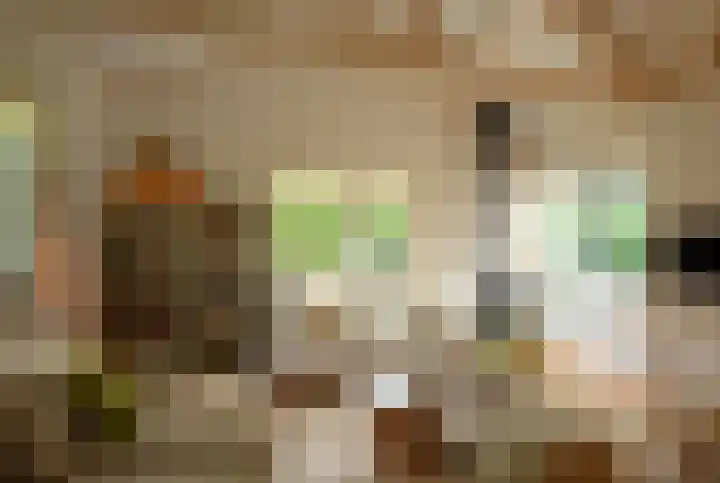 Koudhoornseweg 29 Garderen thumbnail 4