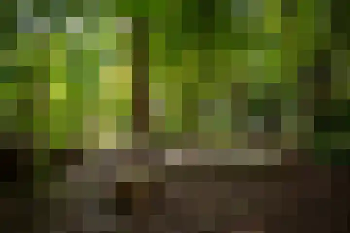 Koudhoornseweg 29 Garderen thumbnail 40