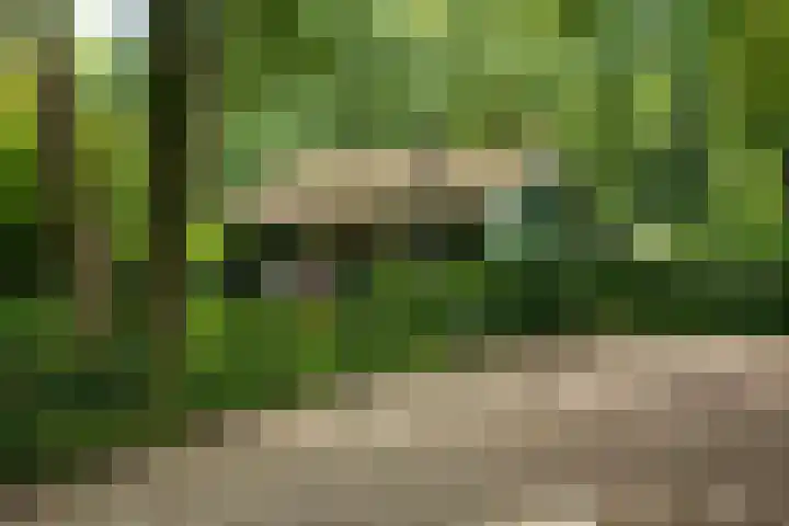 Koudhoornseweg 29 Garderen thumbnail 41