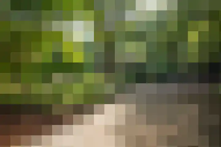 Koudhoornseweg 29 Garderen thumbnail 42