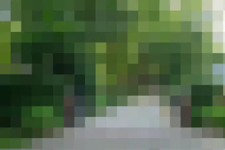 Koudhoornseweg 29 Garderen thumbnail 43