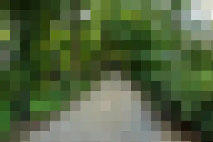 Koudhoornseweg 29 Garderen thumbnail 44