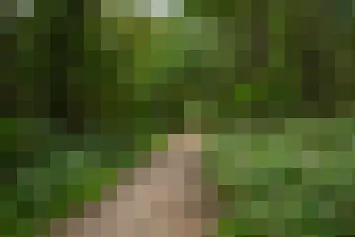 Koudhoornseweg 29 Garderen thumbnail 45