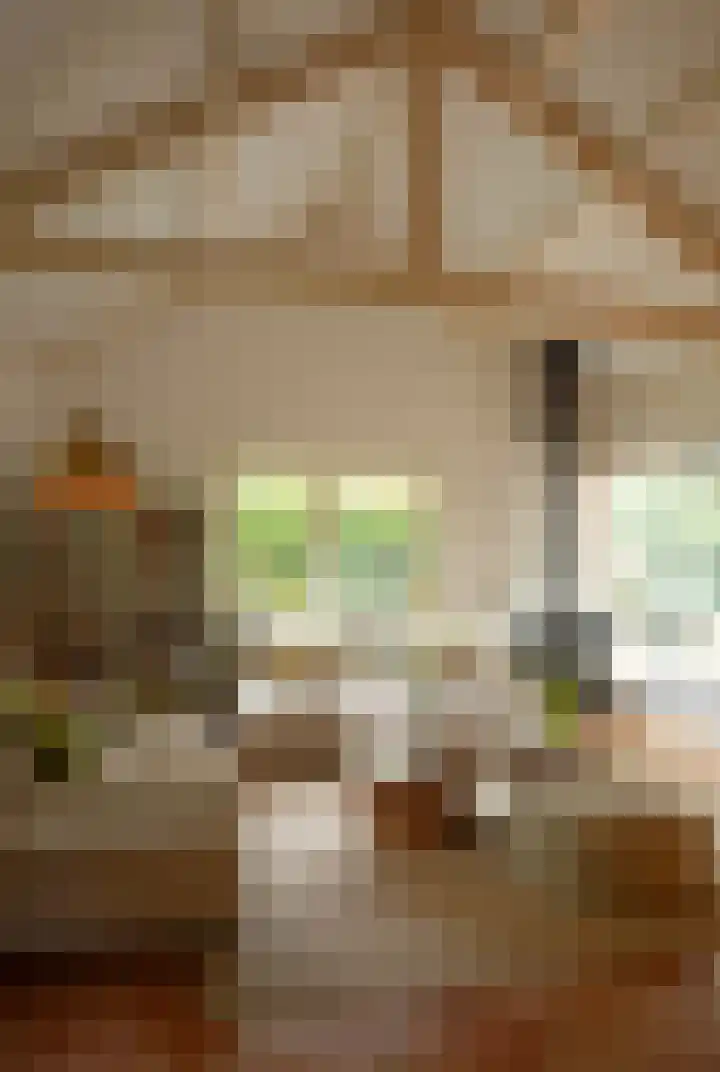 Koudhoornseweg 29 Garderen thumbnail 5