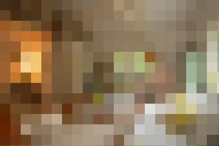 Koudhoornseweg 29 Garderen thumbnail 7