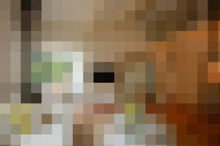Koudhoornseweg 29 Garderen thumbnail 8