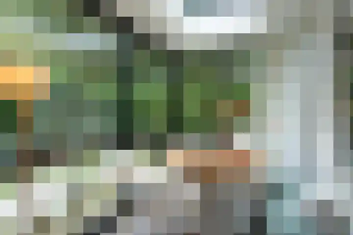 Koudhoornseweg 29 Garderen thumbnail 9