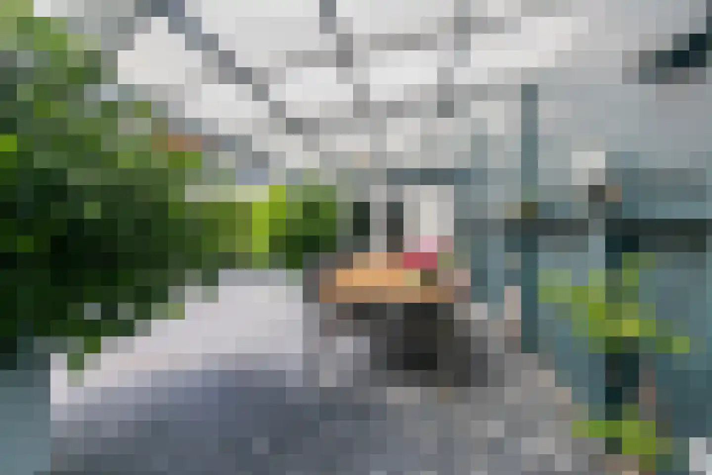 Koudorpstraat 42 Westkapelle thumbnail 61