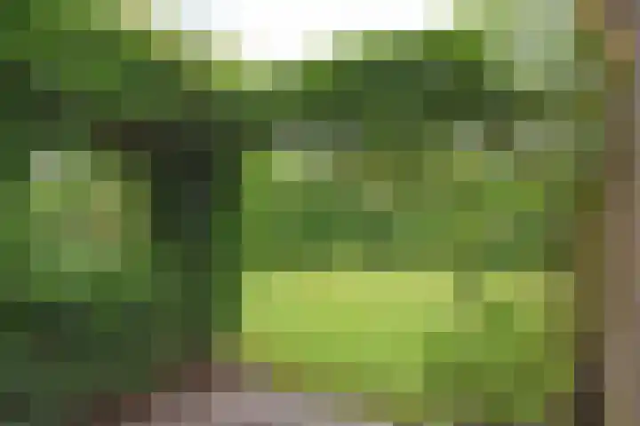 Koutenburg 1 Garyp thumbnail 11