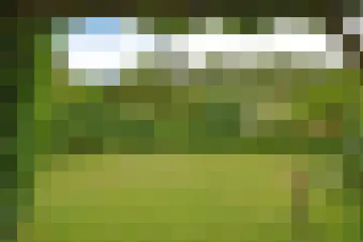 Koutenburg 1 Garyp thumbnail 12